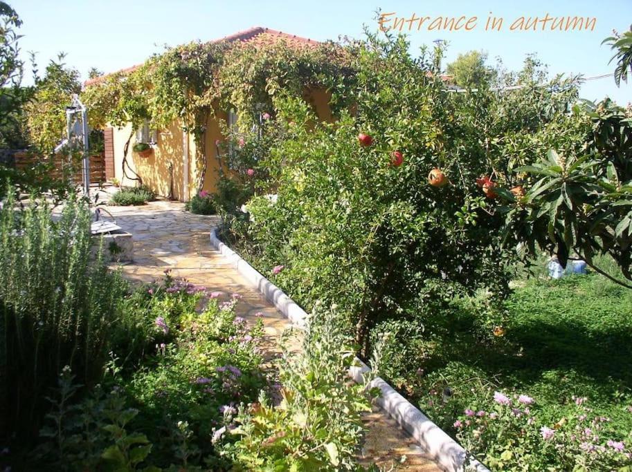 Adonino Residence-The House Of Pomegranates Lakíthra Esterno foto
